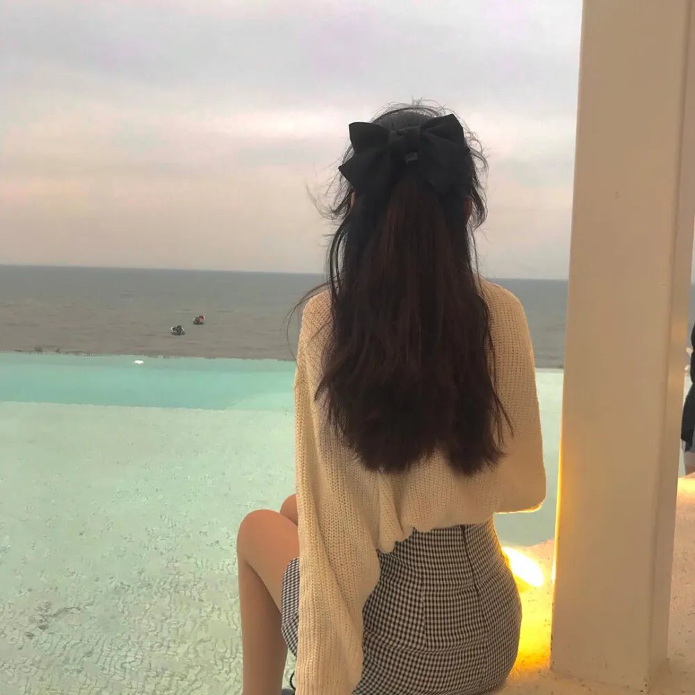 秘密访客