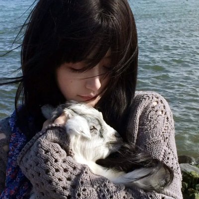 绝望主妇第八季